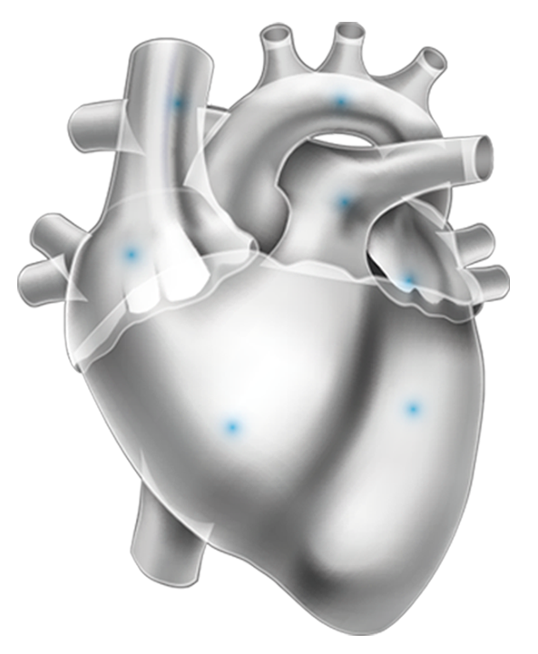corazon